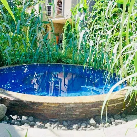 Cascadas One-bedroom With A Living Appartement *